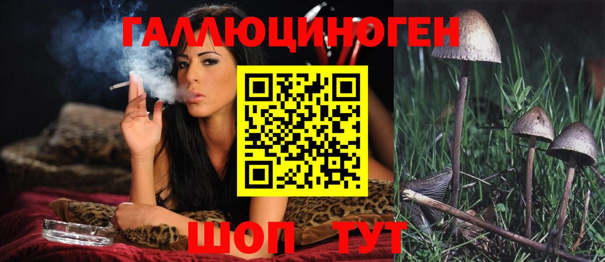 Галлюциногенные грибы GOLDEN TEACHER Рязань