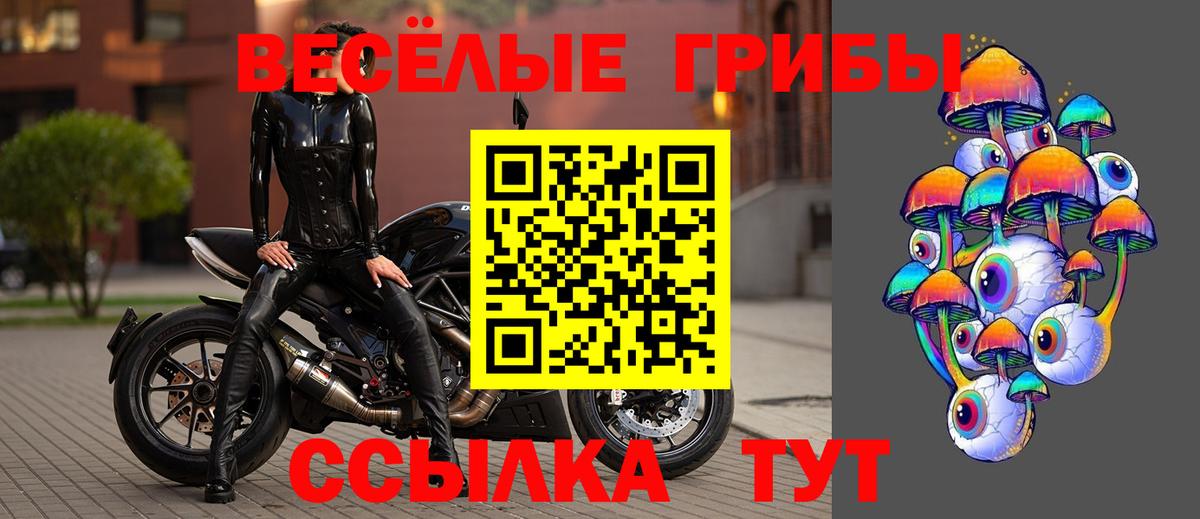 Псилоцибиновые грибы ЛСД  цена   Рязань  Вход с VPN 